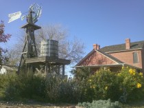 white-pool house photo