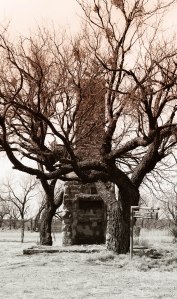 Adjutant (library) ruins