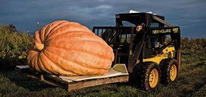 giant pumpkin forklift