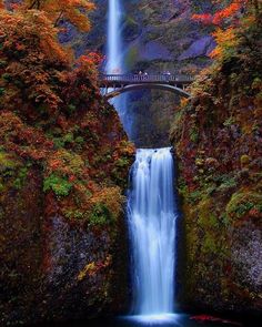 multnomah-falls