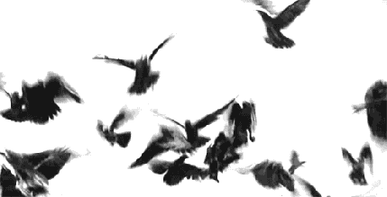 tumblr_lvhkey9g3b1qg6rkio1_500